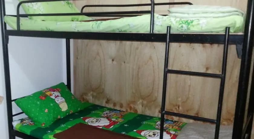Budget Traveller Inn - photo 7