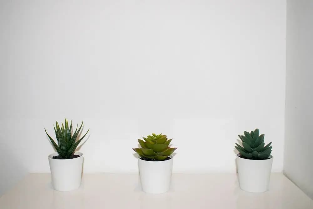 Bright And Modern 2 Bedroom Flat - photo 9
