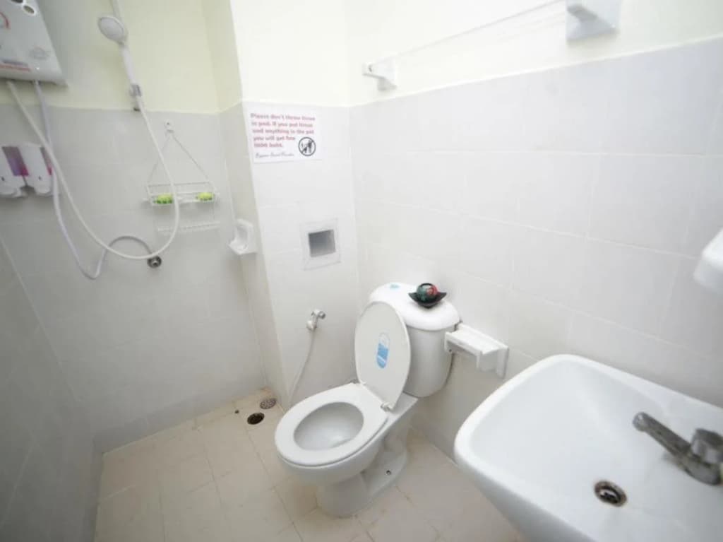 Rayaan Oriental Guest House & Restaurant - photo 5