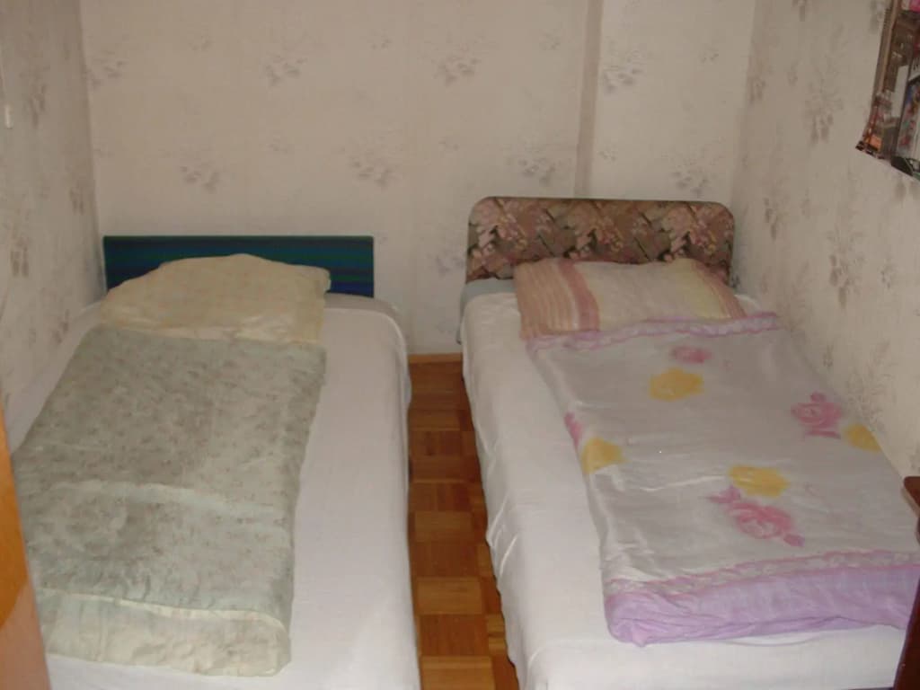 Ace Hostel - photo 4