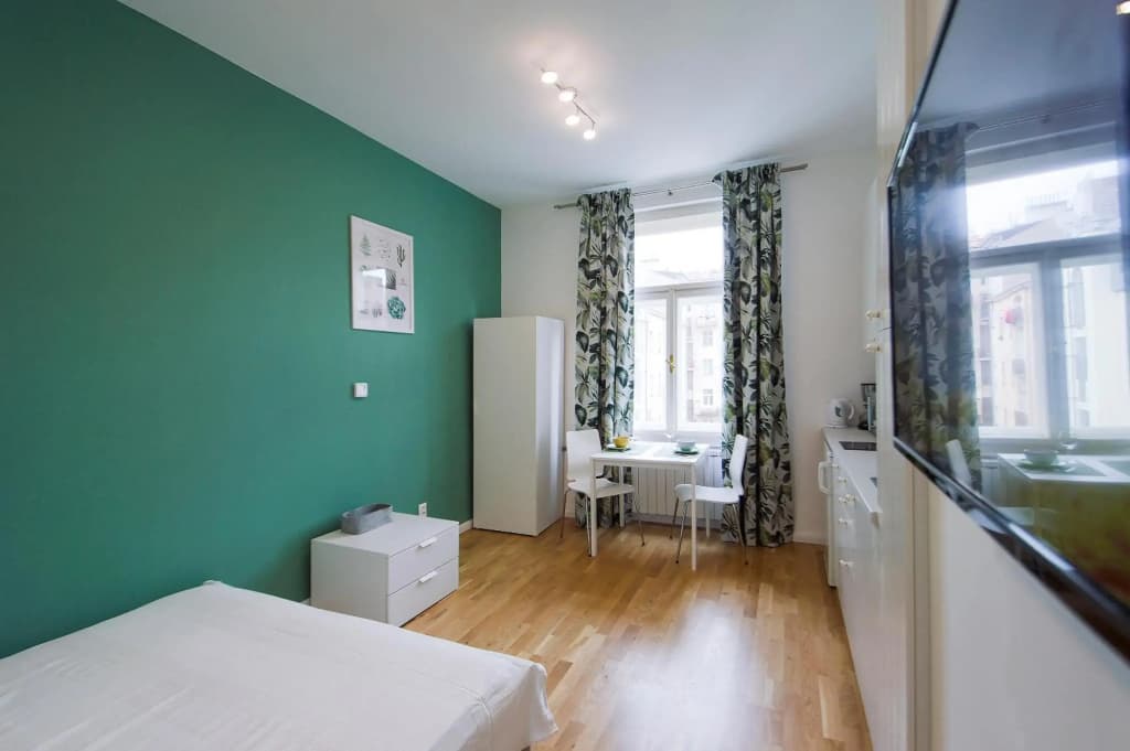 Modern apartment Spanelska - photo 3