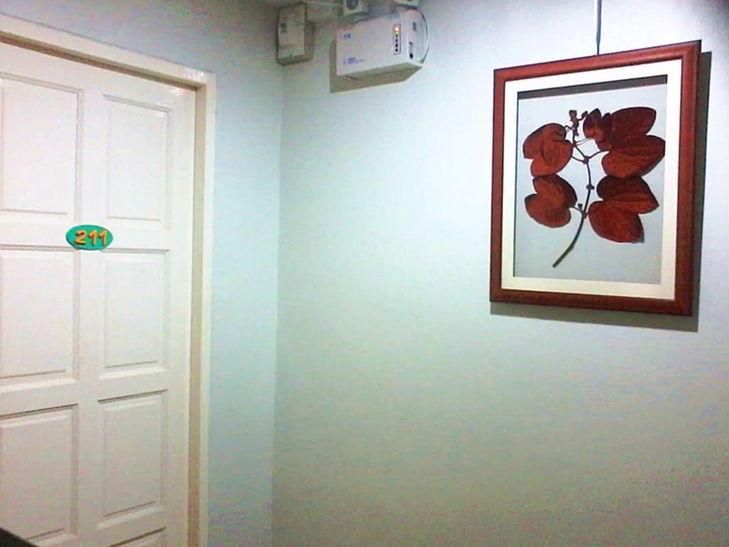 DDC House - photo 5