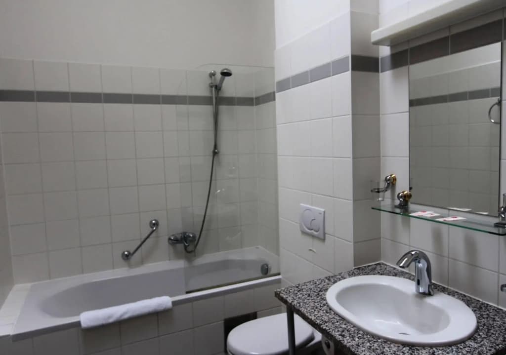 Hotel Corvinus - photo 6
