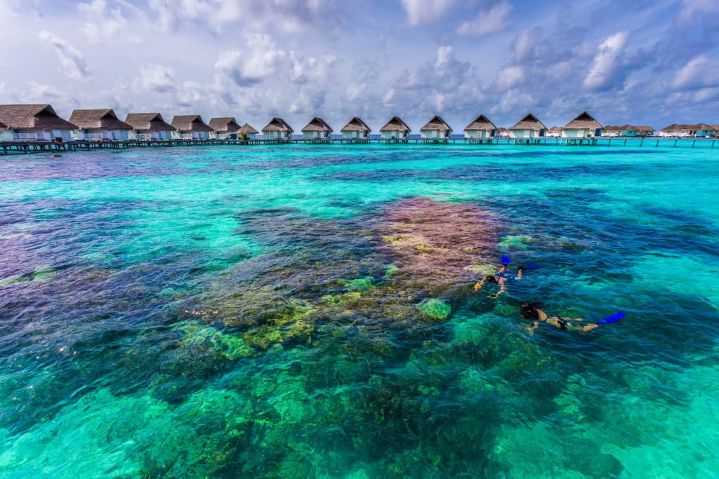 Machchafushi Island Resort & Spa Maldives, The Centara Collection - photo 35