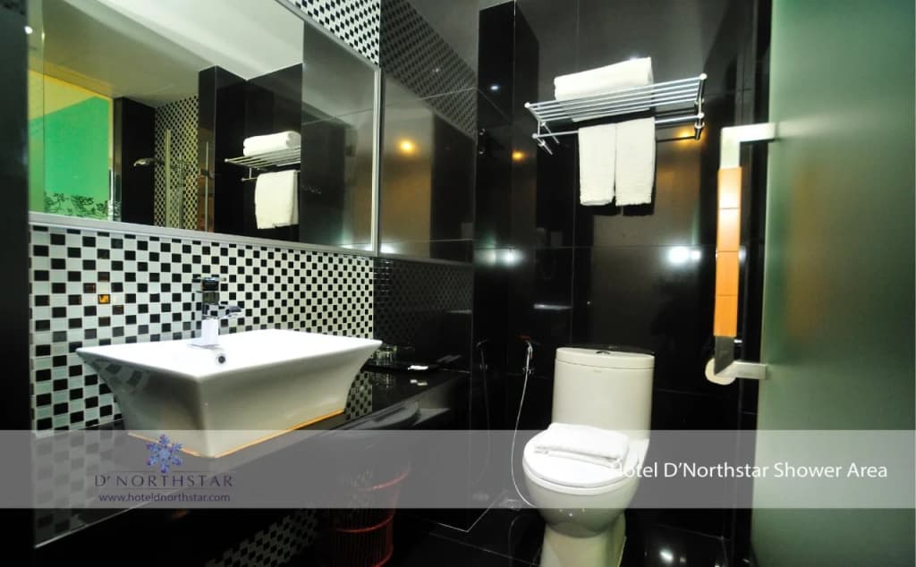 D North Star Hotel & Spa - photo 9