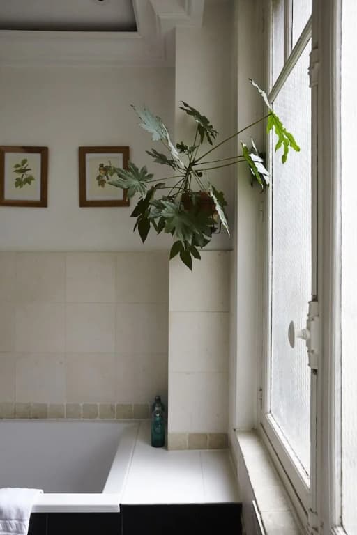 Botanical Eclecticism in the 20th - photo 16