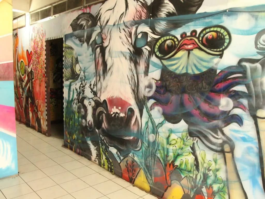 The Overstay Art Hostel - photo 10