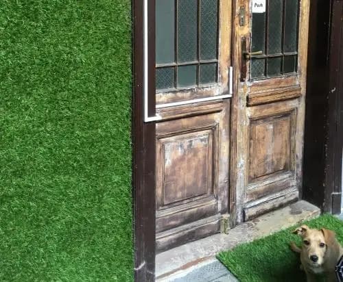 Multipass Hostel - photo 17