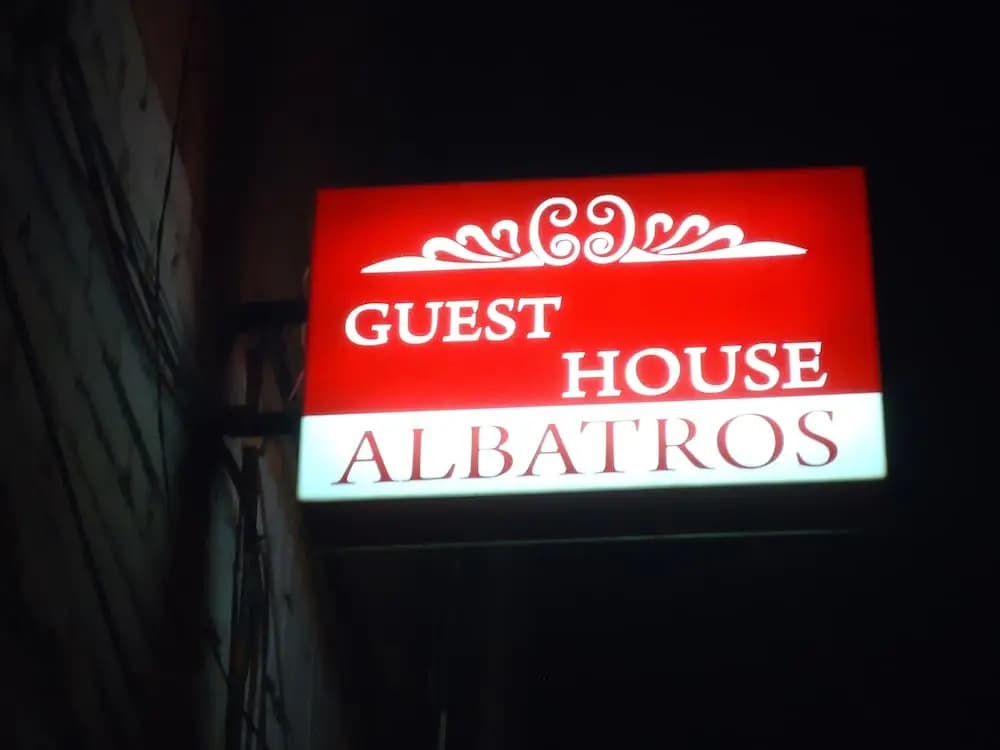Albatros - photo 1