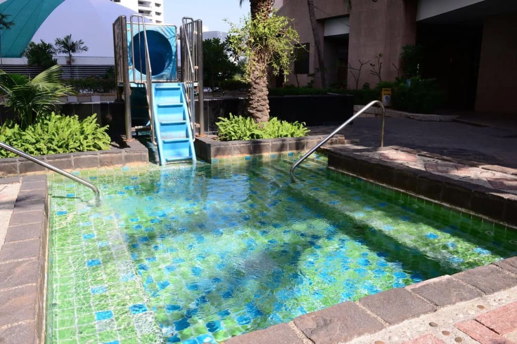 Ebony Tower at Parkview Towers - photo 17