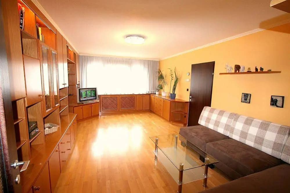 Apartment Vacha Linzerstrasse - photo 2