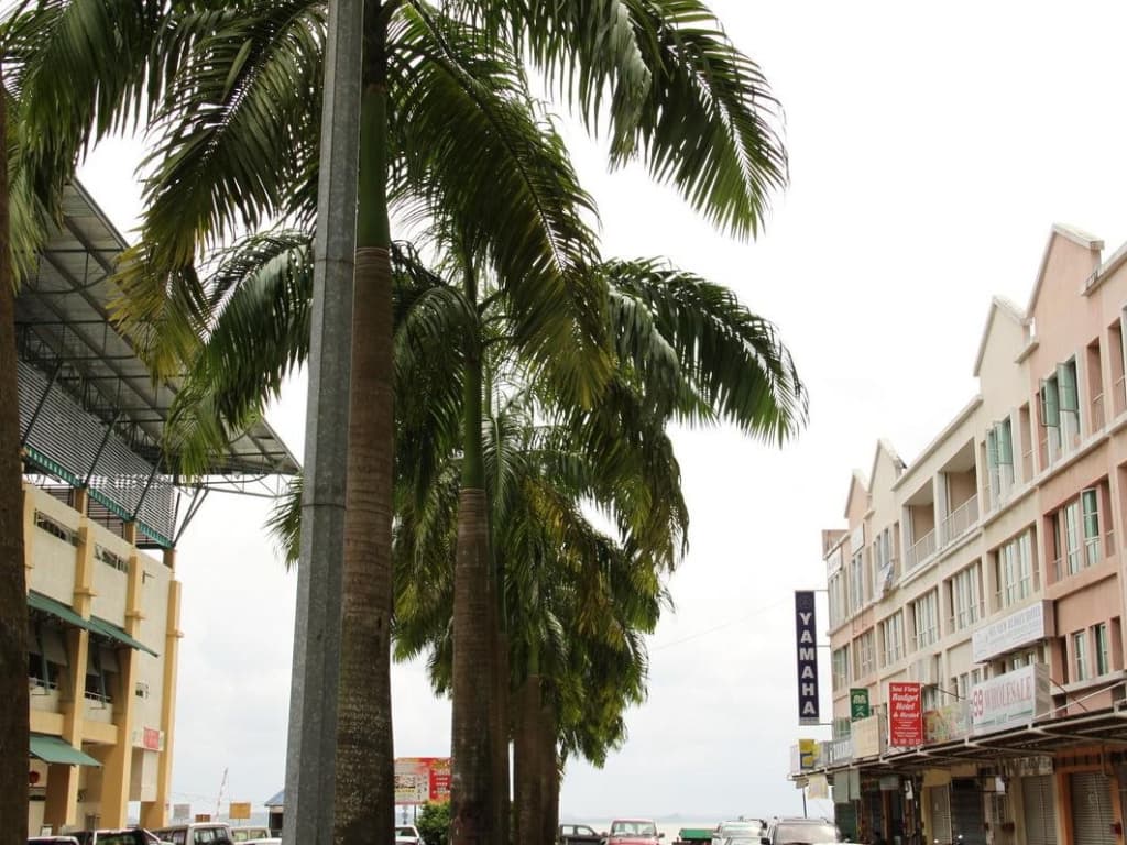 Borneo Seaview Hotel - photo 4