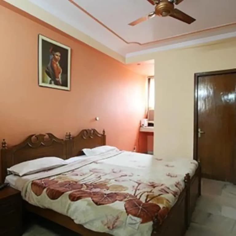 Karol Bagh Hotel Le Sancy Delhi - photo 6