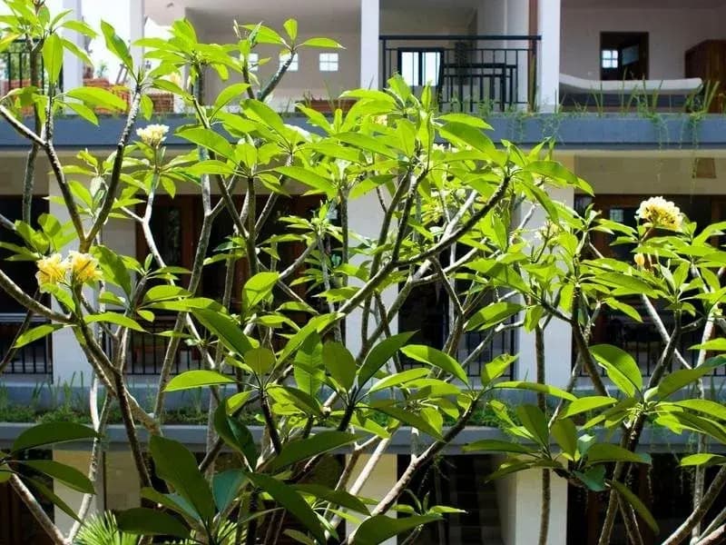 Nani House 2 - photo 11