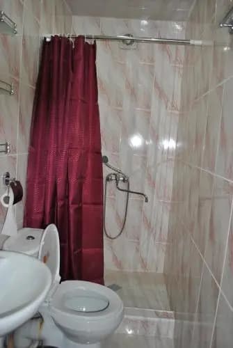 Hotel Giosheri - photo 7