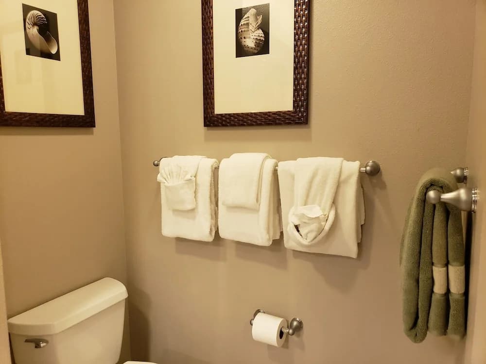 Suites at the Tahiti Village - photo 10