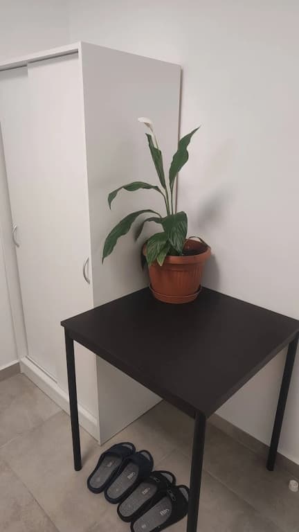 Vu's Home-apartmán Junior 40m2 - photo 9