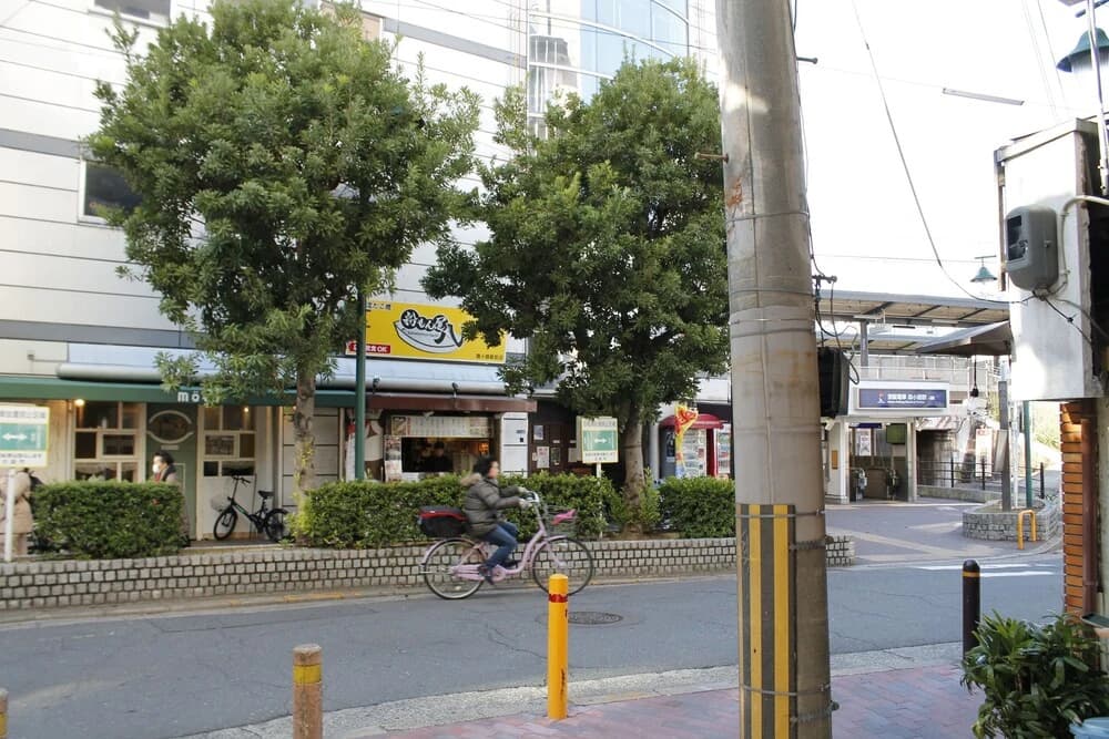 Hr Front Regal Shinmori - photo 11