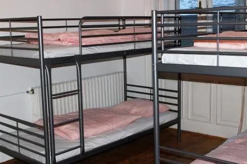 Black Dog Hostel - photo 14
