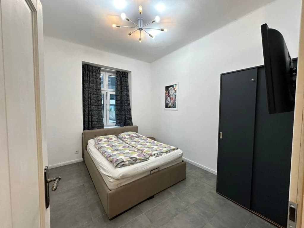 Karlin Balcony Apartment - photo 6