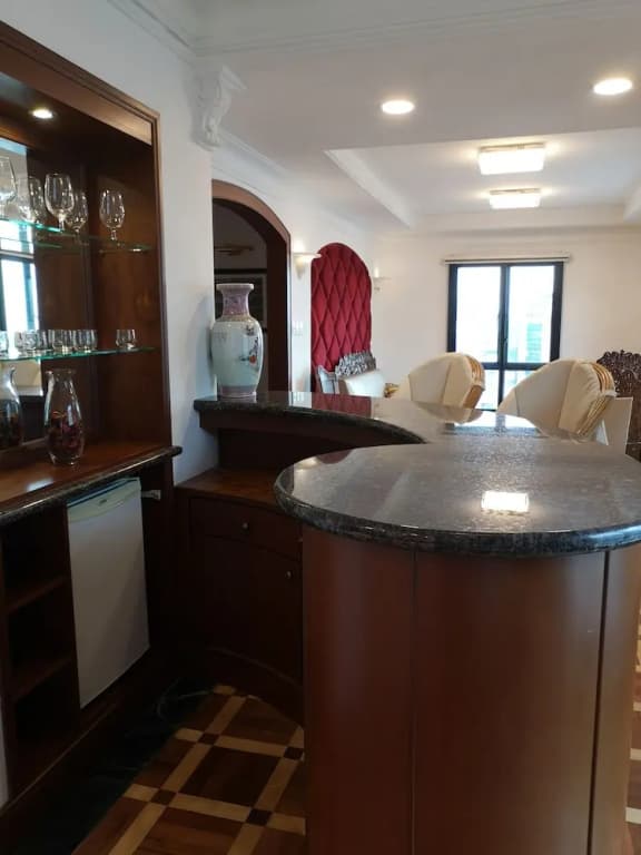Most Luxurious Penthouse - photo 27
