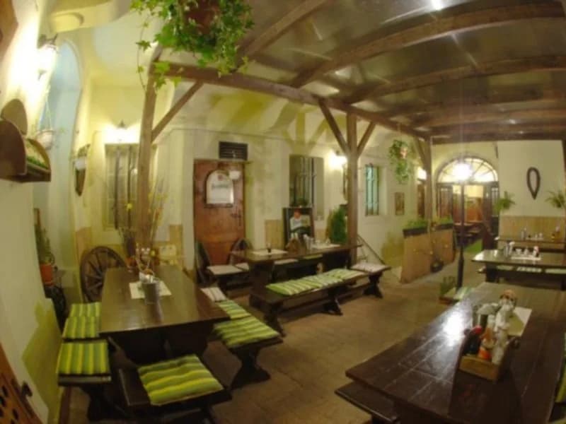 U Zlate Podkovy Apartments - photo 6