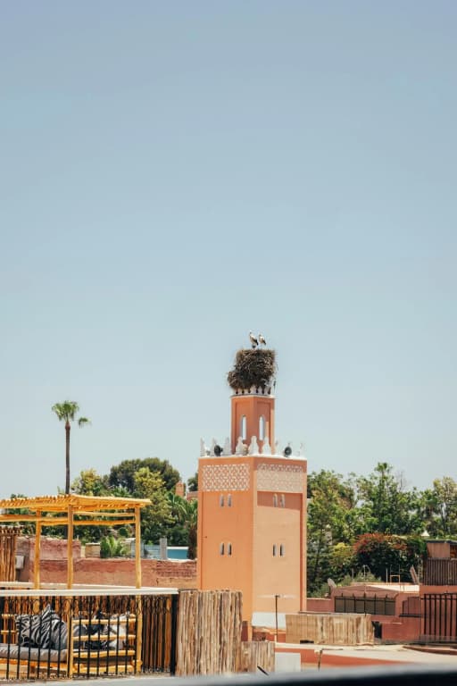 Riad Anya - photo 33
