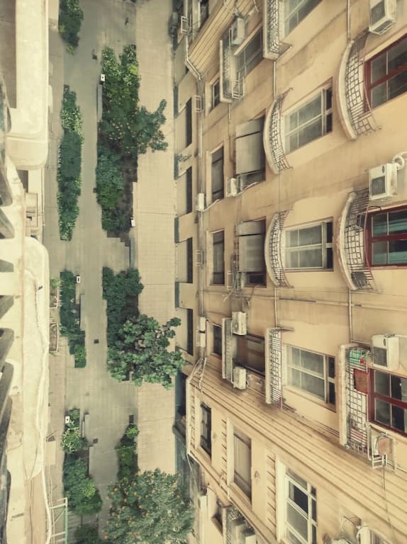 Cairo house - Hostel - main photo