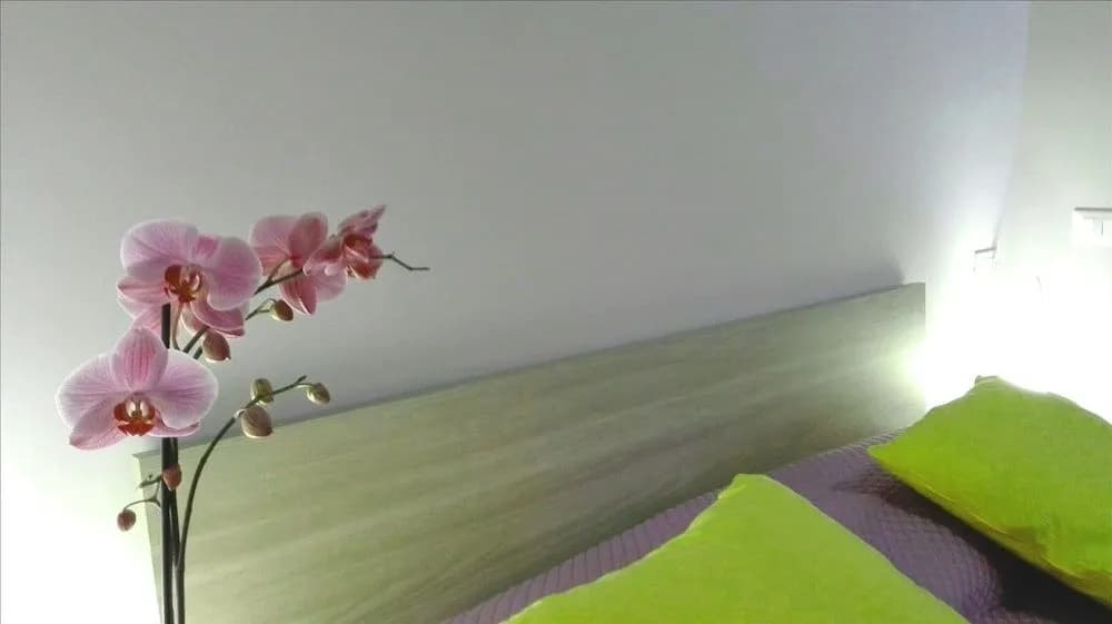 Maria Dream Rooms - photo 4