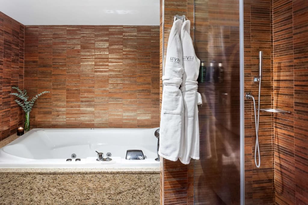 Melia Madrid Princesa - photo 17