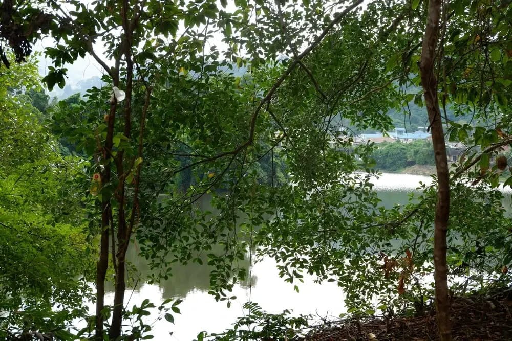Elephant Jungle Sanctuary - photo 9