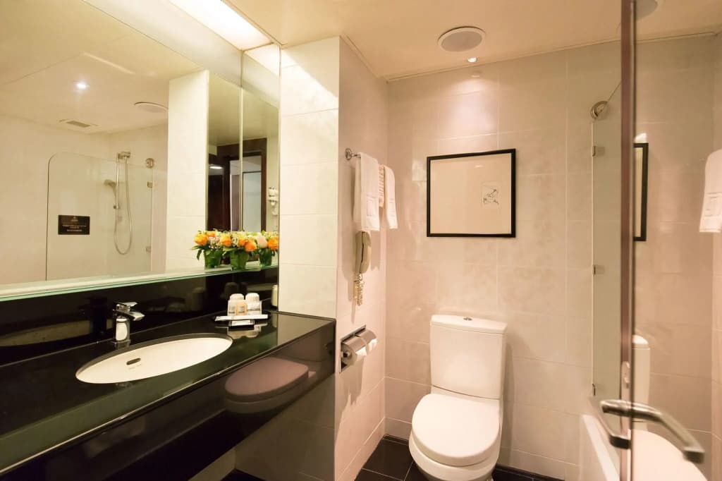 Regal Airport Hotel - photo 9