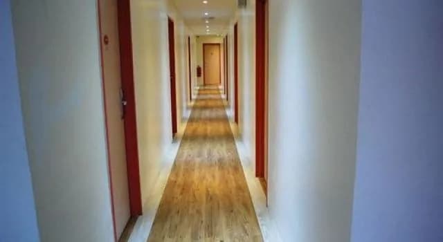 My Home Hotel - photo 10