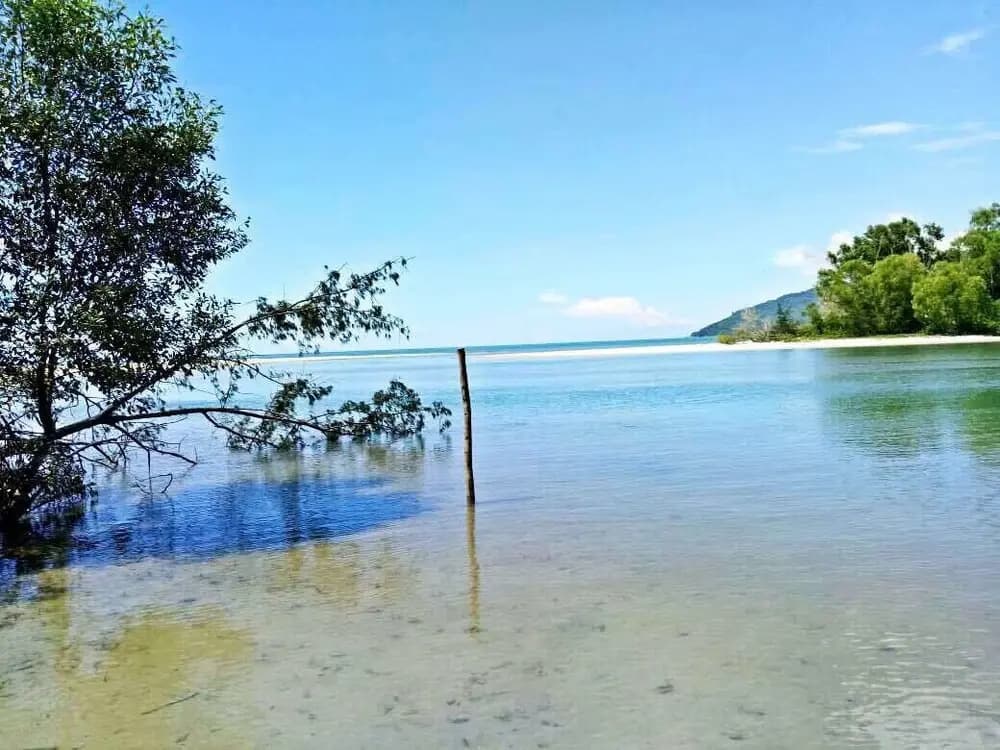 Raintree Beach & Golf Resort - photo 18