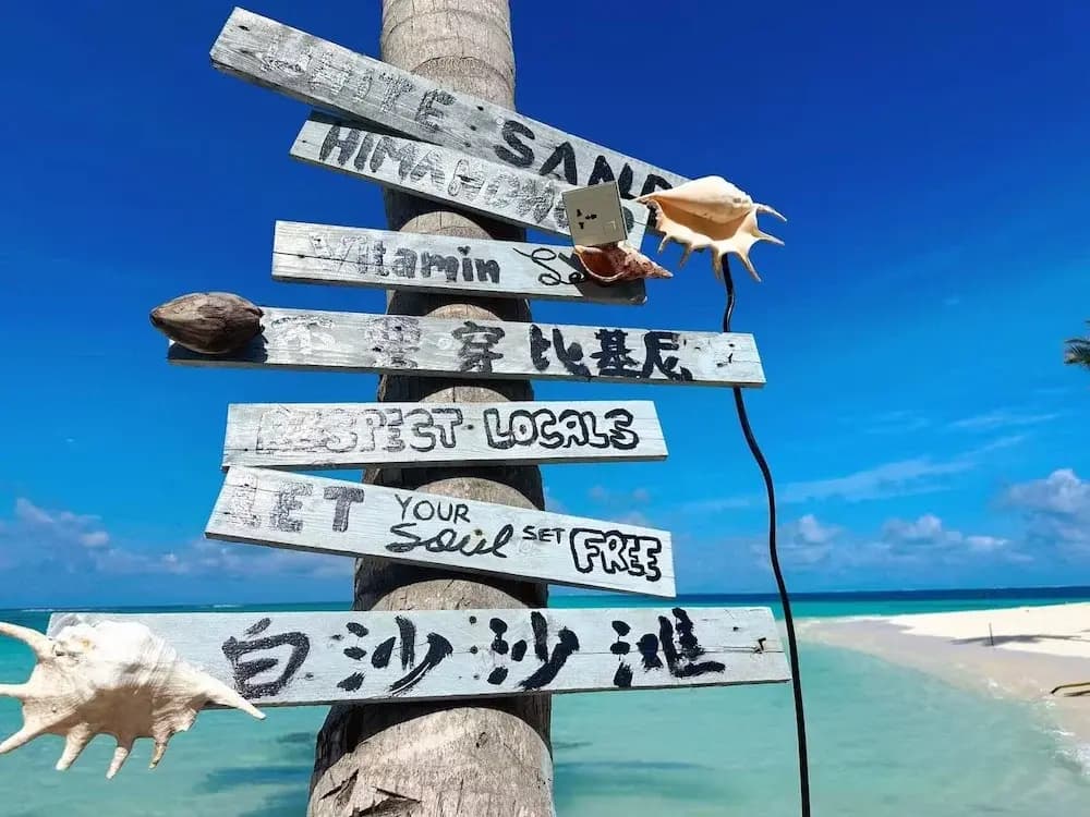 WhiteSand - photo 27