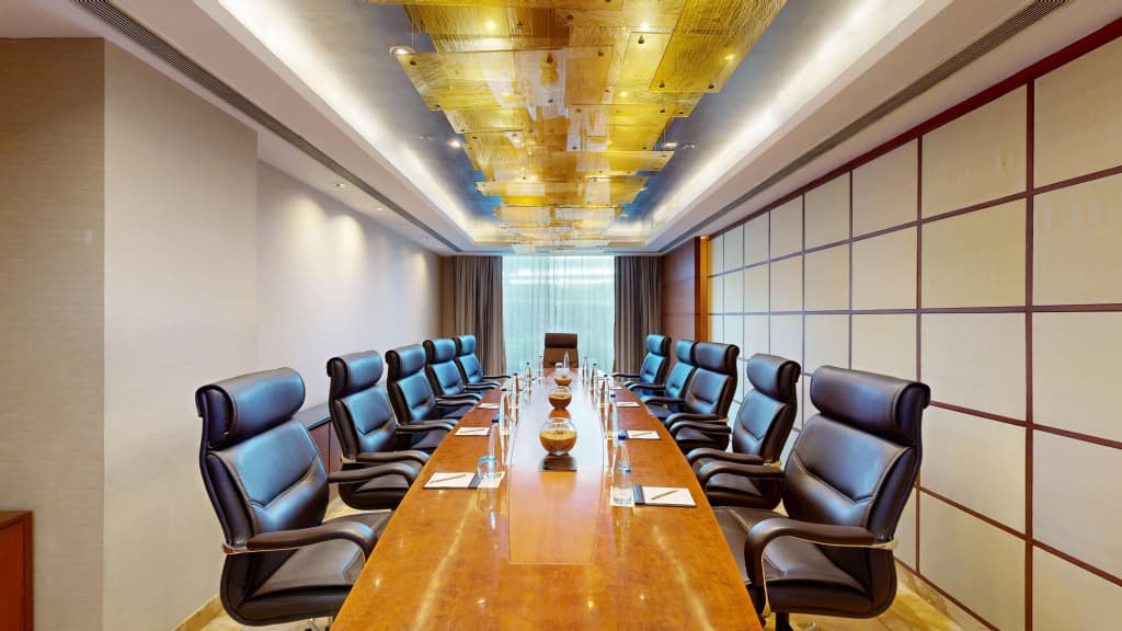 Radisson Blu Plaza Delhi Airport - photo 45