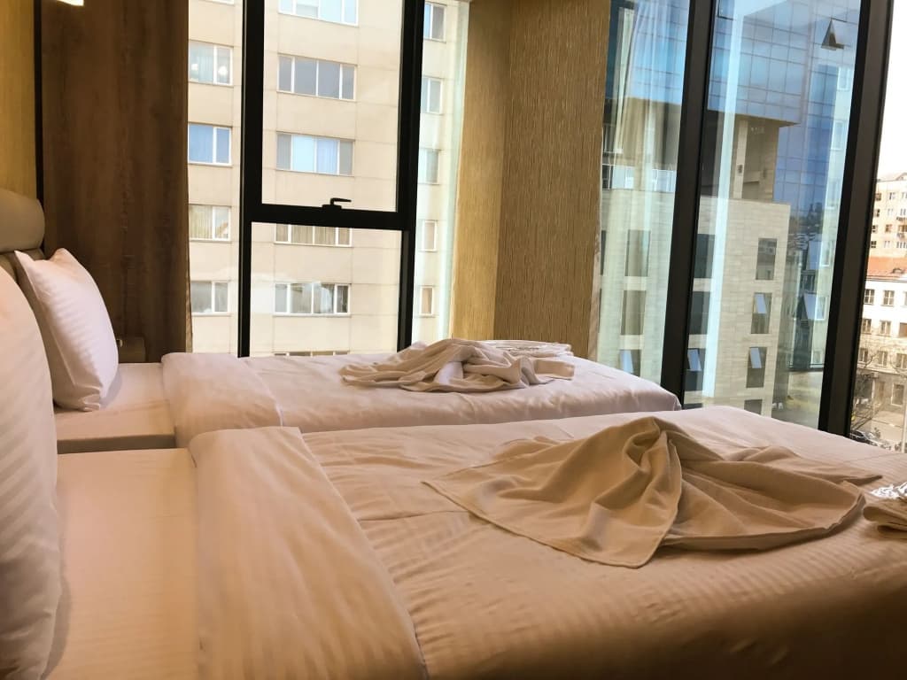 L Plaza Hotel - photo 3