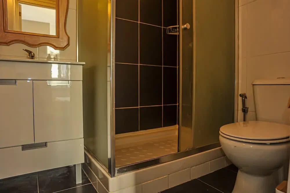 My Fair Lisbon -modern flat with elevator in central Lisbon - photo 8