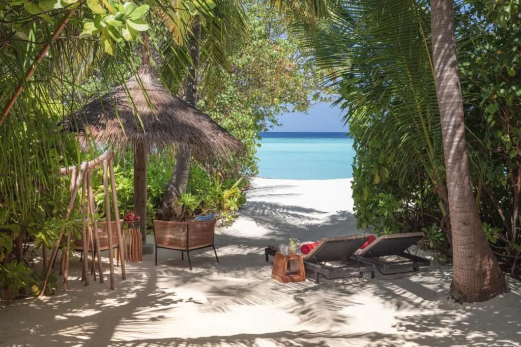 NH Collection Maldives Havodda Resort - photo 43