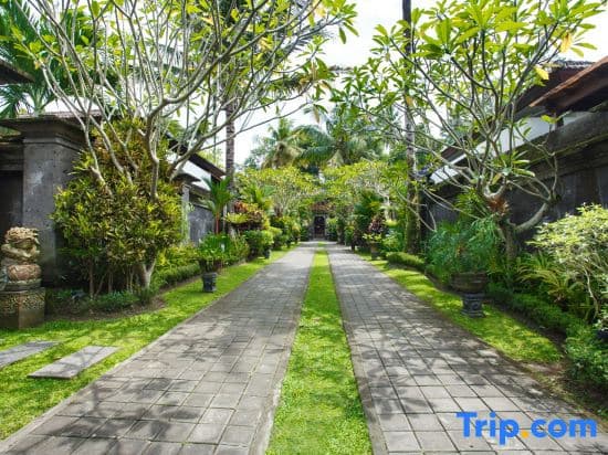 Ubud Raya Villa - photo 37