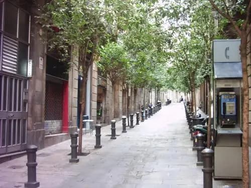 Pension Alamar - main photo