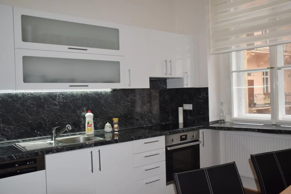 Tiva Downtown Apartments - photo 19