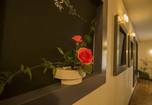 Piazza Di Spagna Studio Apt - photo 9