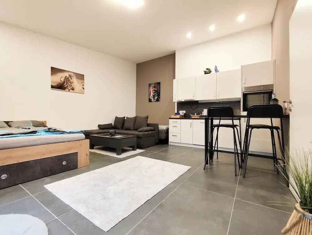Cozy Apartment with Free Parking - photo 14