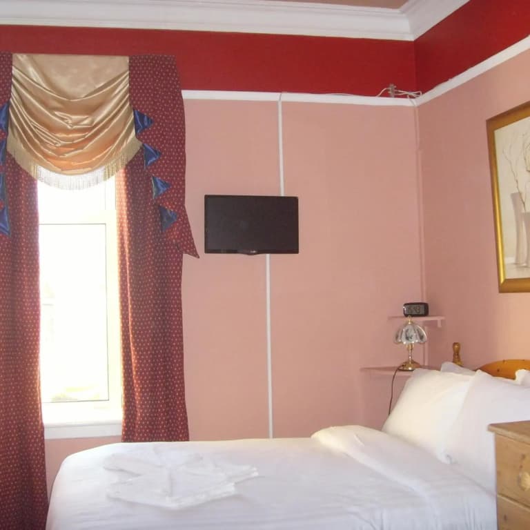 Twin Lions Hotel - photo 40