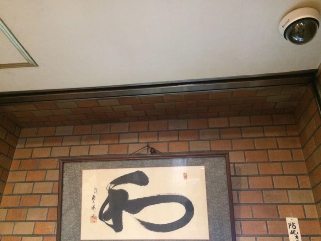 Hotel Yanagibasi - photo 1