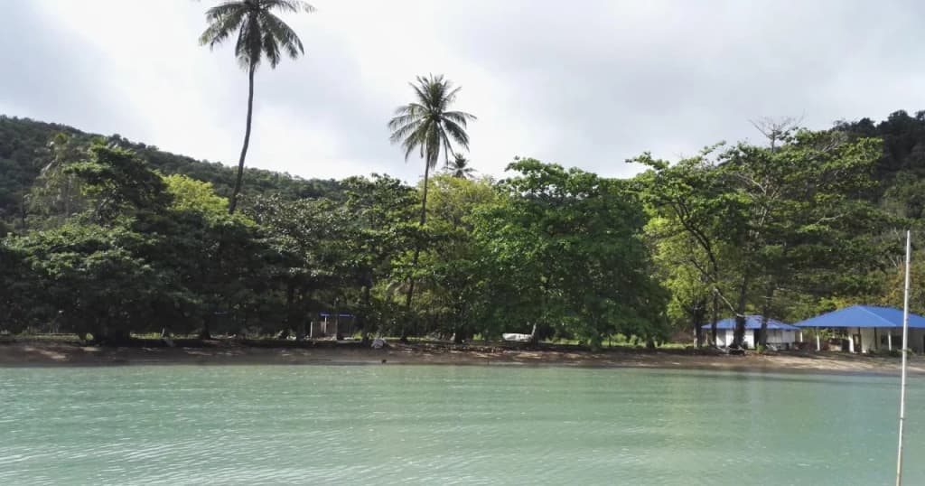 Tropical Eco Camping - photo 5