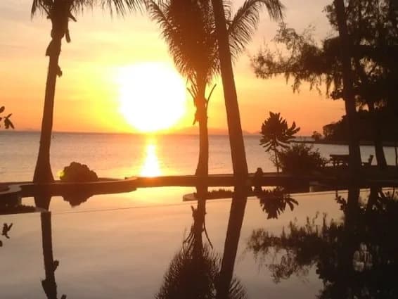 Garto Resort - photo 15