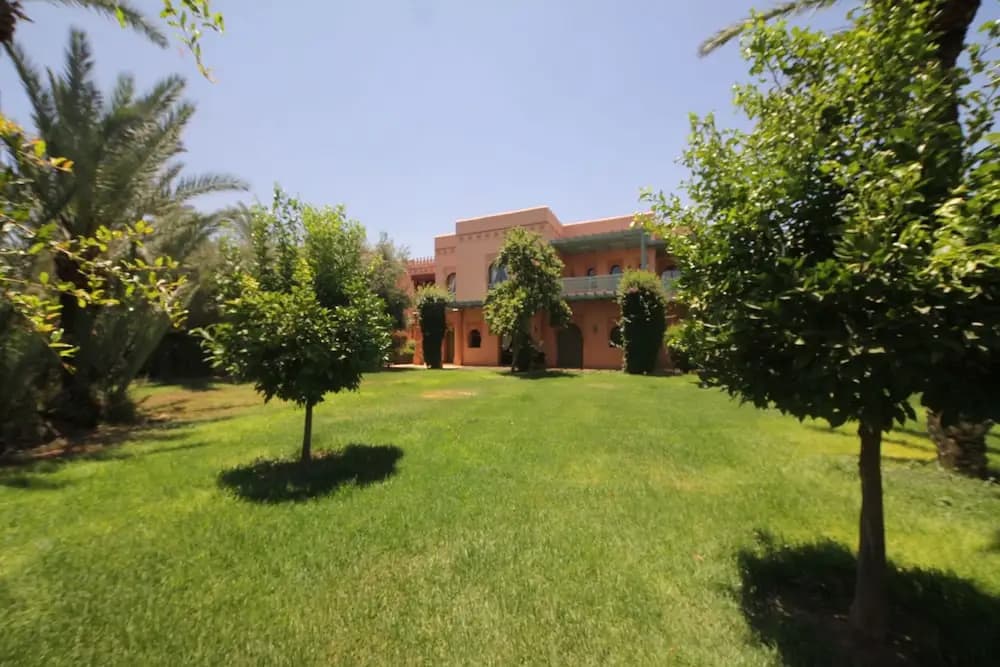 Beyond Palm Appart - photo 14