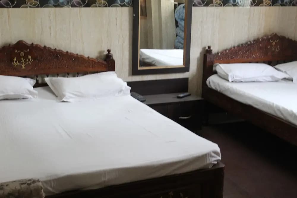 Central Guest House - photo 4